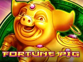 Fortune Pig